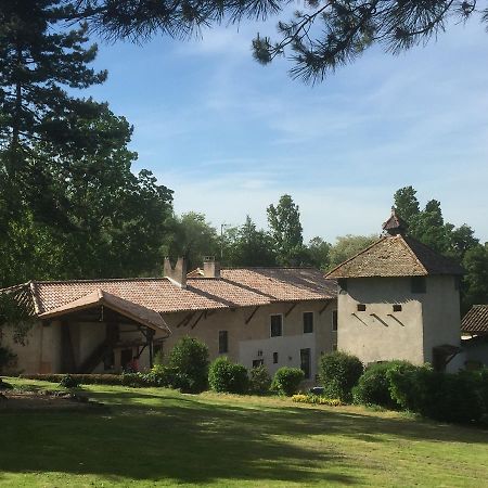 Le Moulin De Saint-Julien Bed and Breakfast Buitenkant foto